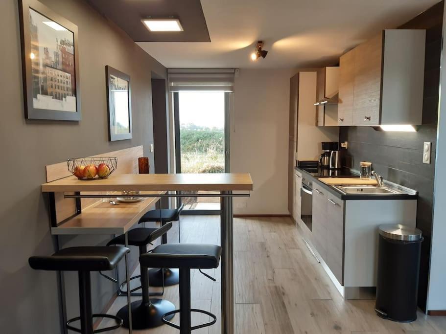 80 M2 Avec Terrasses Entre Les Deux Abers Apartment *